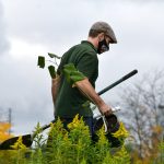 Entretien de jardin par un professionnel