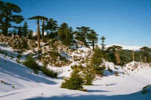 Les itinéraires de trekking